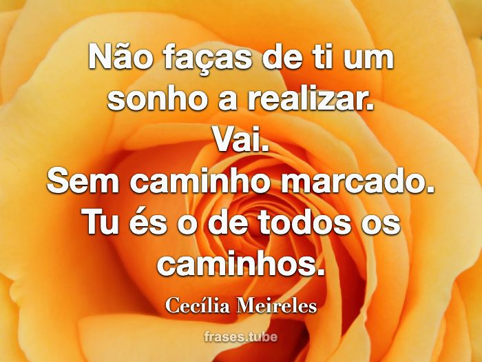 Não faças de ti Um sonho a realizar. Vai. Sem caminho marcado.