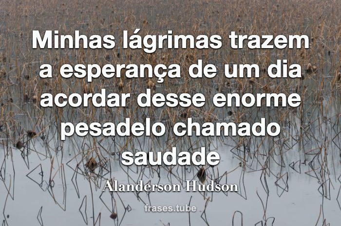 Assim como o Fogo, a Água, a Terra e o Alanderson Hudson - Pensador