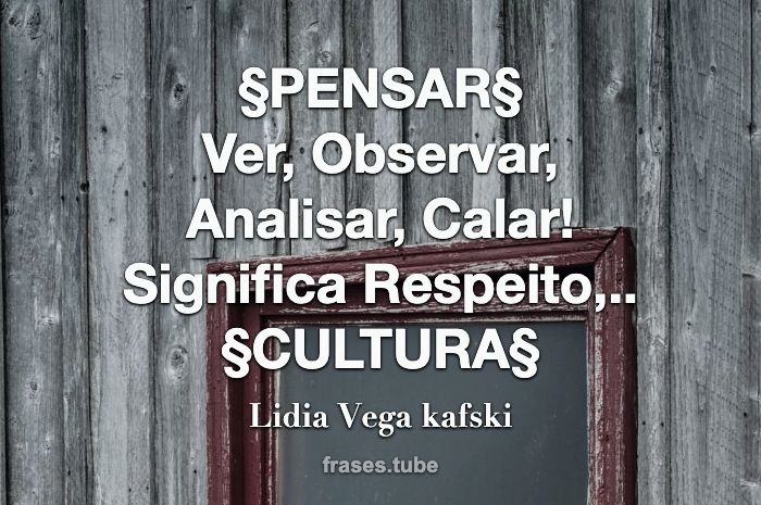 PENSAR§ Ver, Observar, Analisar, Lidia Vega kafski - Pensador